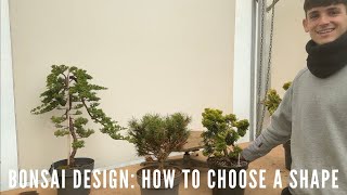 Bonsai Design: How to choose a Shape