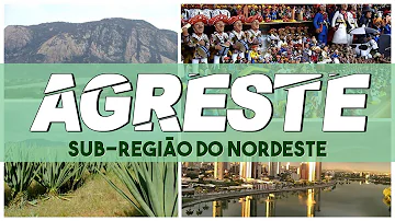 Quais as principais características do agreste?