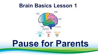 Details Pause for Parents Brain Basics Lesson 1 News