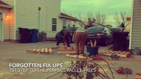 Pallet Trees Day 1