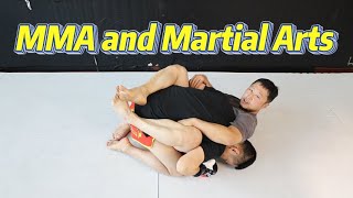MMA and Martial Arts，actual combat and theory