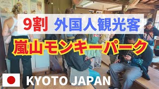 9割外国人観光客の嵐山モンキーパーク KyotoArashiyama