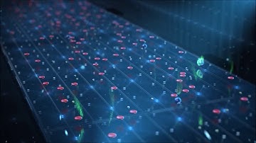 Visco-Elastic Focusing