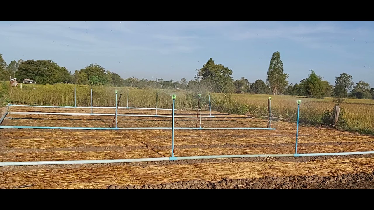 เครื่องสูบน้ำ ทำระบบสปริงเกอร์ได้