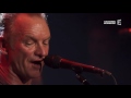 Sting - Desert Rose