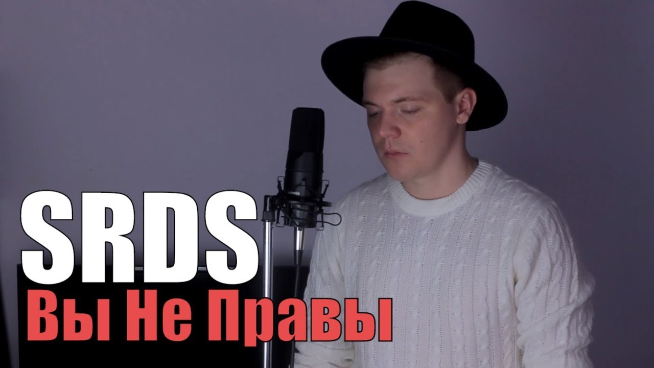 SRDS - Вы не правы (Mini Cover) (by Foxy Tail )