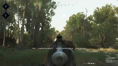 Hunt  Showdown - Rendering issues