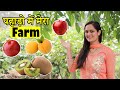 WELCOME TO OUR FARM || Kiwi | Apple | Plum | pomegranate in Kullu-Manali Himachal Pradesh