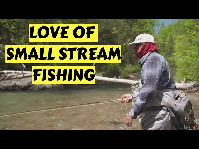 Small Stream Fishing