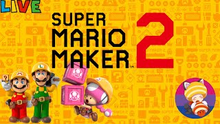 Super Mario Maker 2 (Expert Challenge/Viewer Levels & Worlds) (#70)