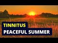 Best tinnitus relief sound therapy treatment  over 1 hour of tinnitus masking with crickets