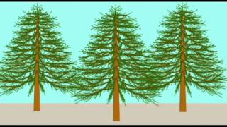 PL2: DIVERSE FOSSIL ORGANISMS OF THE EARLY MESOZOIC 1