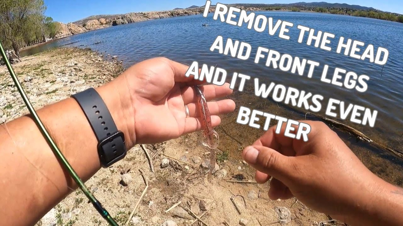 Bass fishing Prescott Arizona