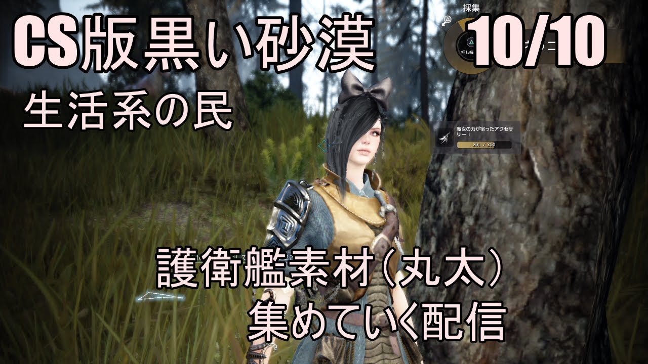 楽しいよps4黒い砂漠 10 10護衛艦素材 丸太 を集める配信 ご質問などあればぜひ Youtube