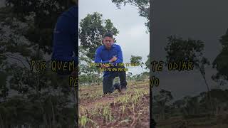 Gabriel Feitosa na pecuaria #motivation #motivational #motivationalvideo