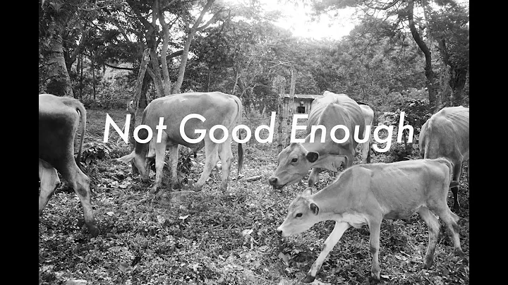 Not Good Enough - Documentary Photographer Daniel ...