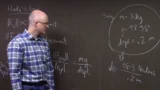 Diff Eqs Lecture #11, Harmonic Oscillator, Predator/Prey Model, Review for Exam 1
