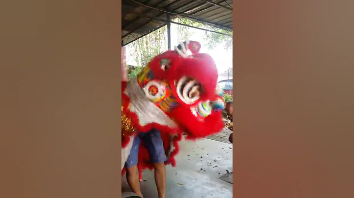 要學舞獅的可以看看吧 - 天天要聞