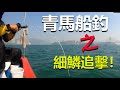 香港釣魚2020-青馬船釣X細鱗追擊X開心釣行【峰狂釣魚頻道-船釣】