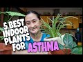 5 BEST INDOOR PLANTS FOR ASTHMA / HIKA