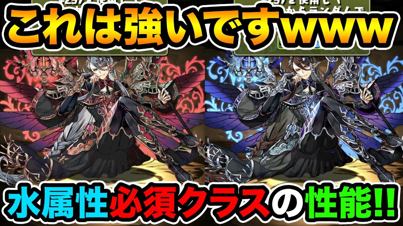 究極アルバートがクッソ強いです 水属性最強の回復要員 神秘の次元 スー パズドラ Youtube