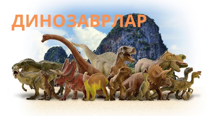 Самараны аудан бойынша алып жүреді