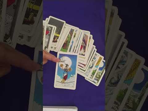 حط شخص في بالك رسالة الحبيب الخفية لك أنا أناني ومحتار تاروت قراءة التاروت Tarot Tarotreading