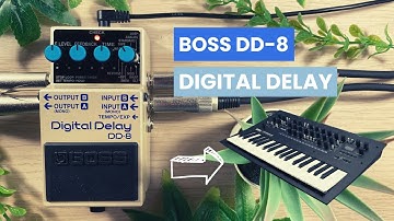 Boss DD-8 Delay Pedal review on Korg Minilogue XD Synthesizer | No talking, no unboxing