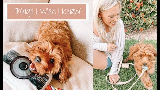 Things I Wish I Knew Before Getting A Puppy | Archie The Cavapoo