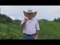 Ganadera doble proposito y porcicultura san lucas 2  campo mundo del campo