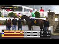 LAUREL PARK 2026-06-28 PL#99_REPLAY SHOW