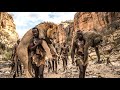 Hunting And Survival The Hadzabe Tribe Encounters An African Lion