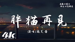 蘇芙蕾 - 胖貓再見『風替我說了再見 再見再也不見，怎樣的我 能讓你感到思念。』【高音質|動態歌詞Lyrics】♫ - 風替我說了再見