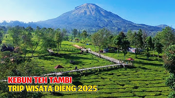 EXPLORE KEBUN TEH TAMBI & TAMAN PERI DIENG #2