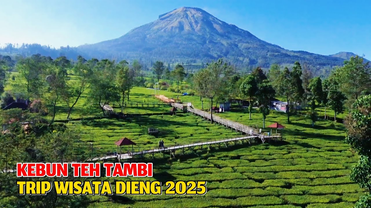 EXPLORE KEBUN TEH TAMBI & TAMAN PERI DIENG #2