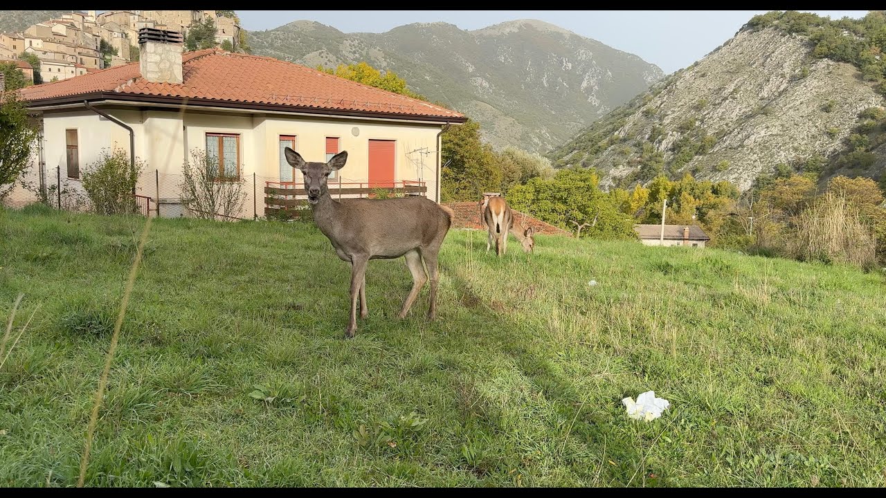 16 Ottobre 2024 Monti Preziosi 1665m slm da Villalago 4K