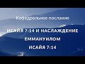 Исайя 7:14 и наслаждение Еммануилом Пастор Илья#Власенко