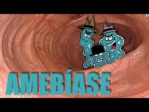 Vídeo: Como a ameba é um exemplo de organismo?