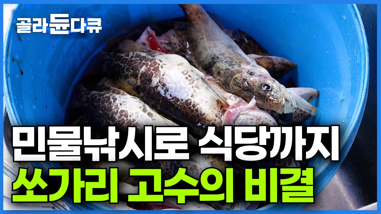 새벽엔 호수에서 쏘가리 잡고 점심엔 매운탕 파는 낚시 달인의 하루│제천 청풍호 민물 낚시 고수의 비결│고향민국│#골라듄다큐