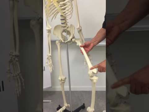 Video: De Mysterieuze Grot Van Het Zittende Skelet - Alternatieve Mening