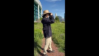 How to Help Migratory Birds