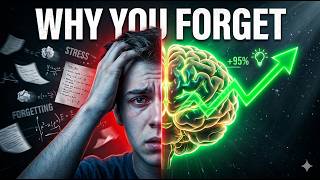 Stop Forgetting What You Study.
