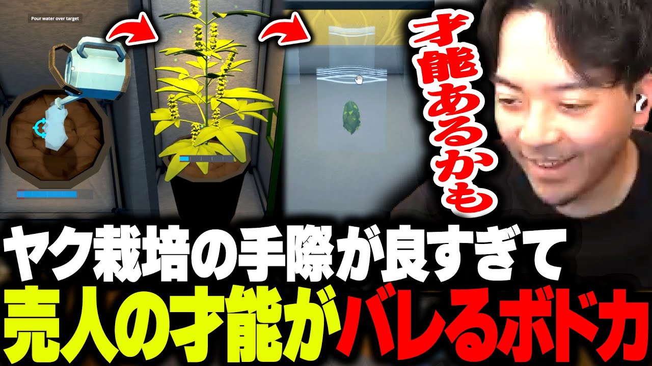 【悲報】ヤク栽培の手際が良すぎて、売人の才能がバレてしまうボドカ【Schedule I】