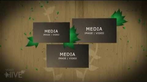 Environmentally Friendly AE CS3 Project File   Project Files