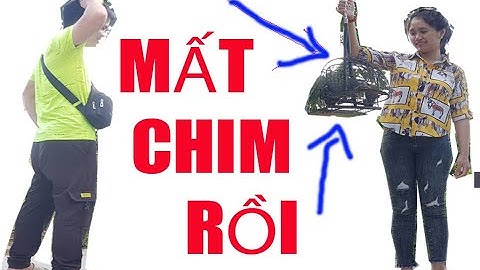 Chủ Tịch Đi Bẫy Chòe Than X1 Bị Gái Xinh Xách Mất Chim Mồi Và Cái Kết Bẫy Luôn Cả Gái Xinh/NTN