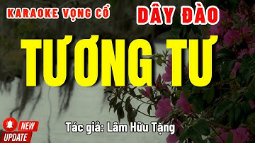 Karaoke Vọng Cổ Tương Tư Dây Đào | Những Bài Hát Hay