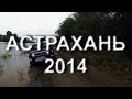 АСТРАХАНЬ 2014  ЛОВЛЯ ЖЕРЕХА