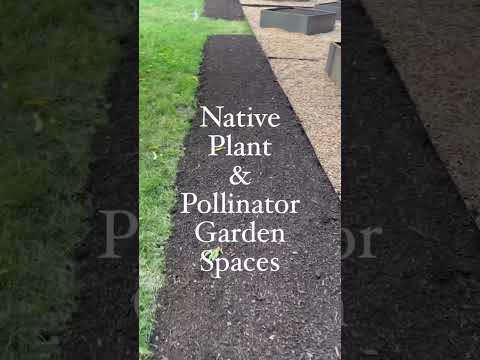 Beautiful Garden Ideas-add Raised Beds, Trellises, Pathways, And Native Plant Spaces-Gardenary