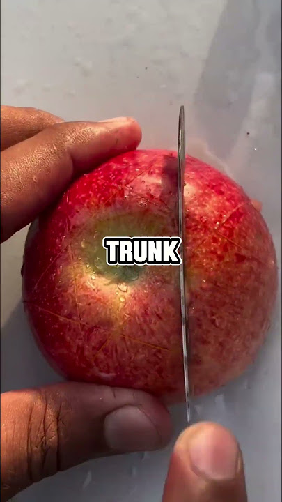 That's So Genius🤯