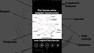Soruları Görene Kadar Sınav Bitiyordu